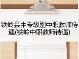 铁岭县中专级别中职教师待遇(铁岭中职教师待遇)