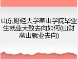 山东财经大学燕山学院毕业生就业大致去向如何(山财燕山就业去向)