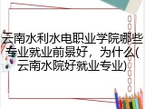 云南水利水电职业学院哪些专业就业前景好，为什么(云南水院好就业专业)