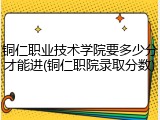铜仁职业技术学院要多少分才能进(铜仁职院录取分数)