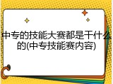 中专的技能大赛都是干什么的(中专技能赛内容)