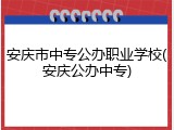 安庆市中专公办职业学校(安庆公办中专)