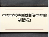 中专学校有编制吗(中专编制情况)