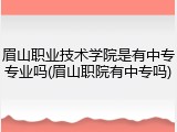 眉山职业技术学院是有中专专业吗(眉山职院有中专吗)