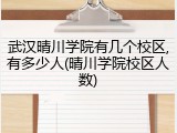 武汉晴川学院有几个校区,有多少人(晴川学院校区人数)