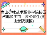 嵩山少林武术职业学院校园占地多少亩，多少师生(嵩山武院规模)