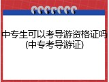 中专生可以考导游资格证吗(中专考导游证)