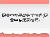 职业中专是高等学校吗(职业中专属高校吗)