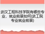 武汉工程科技学院有哪些专业，就业前景如何(武工院专业就业前景)