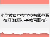 小学教育中专学校有哪些职校好(优质小学教育职校)