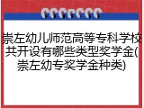 崇左幼儿师范高等专科学校共开设有哪些类型奖学金(崇左幼专奖学金种类)
