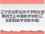 辽宁农业职业技术学院在读期间怎么申请助学贷款(辽农职院助学贷款申请)