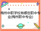梅州中职学校有哪些职中专业(梅州职中专业)