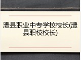澧县职业中专学校校长(澧县职校校长)