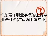广东青年职业学院的王牌专业是什么(广青院王牌专业)