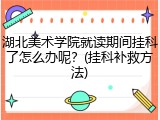 湖北美术学院就读期间挂科了怎么办呢？(挂科补救方法)