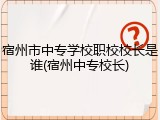 宿州市中专学校职校校长是谁(宿州中专校长)