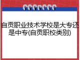 自贡职业技术学校是大专还是中专(自贡职校类别)