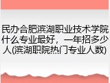 民办合肥滨湖职业技术学院什么专业最好，一年招多少人(滨湖职院热门专业人数)