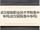 武汉船舶职业技术学院是中专吗(武汉船院是中专吗)