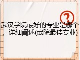 武汉学院最好的专业是哪个，详细阐述(武院最佳专业)