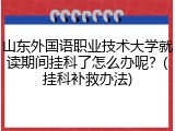山东外国语职业技术大学就读期间挂科了怎么办呢？(挂科补救办法)