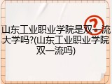 山东工业职业学院是双一流大学吗?(山东工业职业学院双一流吗)