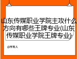 山东传媒职业学院主攻什么方向有哪些王牌专业(山东传媒职业学院王牌专业)