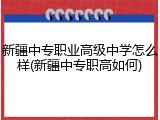 新疆中专职业高级中学怎么样(新疆中专职高如何)
