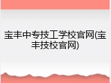 宝丰中专技工学校官网(宝丰技校官网)