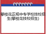 攀枝花正规中专学校技校招生(攀枝花技校招生)