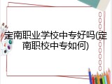 定南职业学校中专好吗(定南职校中专如何)