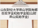山东财经大学燕山学院有哪些奖学金和助学金呢(山财燕山奖助学金)