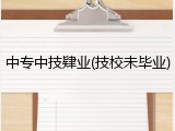 中专中技肄业(技校未毕业)