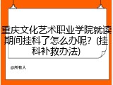 重庆文化艺术职业学院就读期间挂科了怎么办呢？(挂科补救办法)