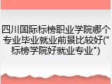 四川国际标榜职业学院哪个专业毕业就业前景比较好("标榜学院好就业专业")
