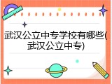 武汉公立中专学校有哪些(武汉公立中专)
