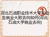 河北石油职业技术大学毕业生就业大致去向如何(河北石油大学就业去向)
