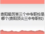 贵阳最厉害三个中专职校是哪个(贵阳顶尖三中专职校)