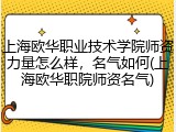 上海欧华职业技术学院师资力量怎么样，名气如何(上海欧华职院师资名气)