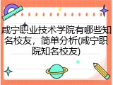 咸宁职业技术学院有哪些知名校友，简单分析(咸宁职院知名校友)
