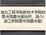 湖北工程学院新技术学院的图书馆藏书量如何，简介(湖工新院图书馆藏书量)