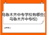 乌鲁木齐中专学校有哪些(乌鲁木齐中专校)