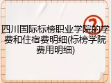 四川国际标榜职业学院的学费和住宿费明细(标榜学院费用明细)