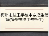 梅州市技工学校中专招生简章(梅州技校中专招生)