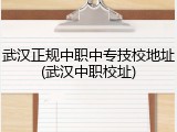 武汉正规中职中专技校地址(武汉中职校址)