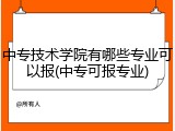 中专技术学院有哪些专业可以报(中专可报专业)
