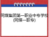 同煤集团第一职业中专学校(同煤一职专)