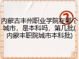 内蒙古丰州职业学院在哪个城市，是本科吗，第几批(内蒙丰职院城市本科批)