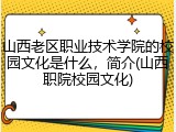 山西老区职业技术学院的校园文化是什么，简介(山西职院校园文化)